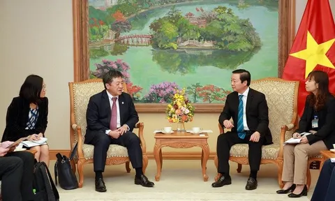 Phó Thủ tướng Trần Hồng Hà tiếp Trưởng đại diện JICA tại Việt Nam