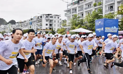 336 vận động viên tham gia giải Chạy trực tuyến tỉnh Thái Nguyên năm 2023