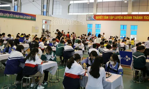 Giải cờ Vua Thanh, Thiếu niên, Nhi đồng tỉnh Lào Cai năm 2023