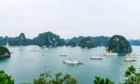 The Travel: Vịnh Hạ Long nằm trong 10 điểm đến đẹp nhất châu Á