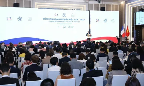 Diễn đàn doanh nghiệp Việt Nam-Pháp: Cơ hội kết nối chính quyền và doanh nghiệp hai nước