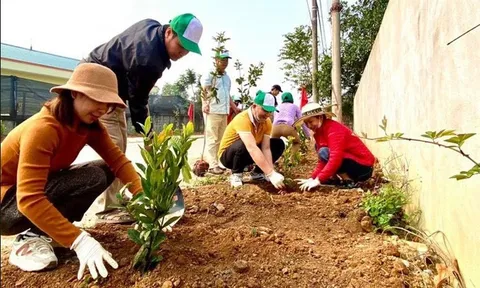 Hội Liên hiệp Phụ nữ tỉnh Hòa Bình: Nhiều hoạt động bảo vệ môi trường gắn với xây dựng nông thôn mới