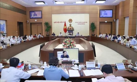 Tổ chức lại các đơn vị hành chính cấp huyện, xã phù hợp tiêu chí, tiêu chuẩn
