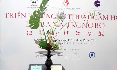 Triển lãm nghệ thuật cắm hoa truyền thống của Nhật Bản tại TP Hồ Chí Minh