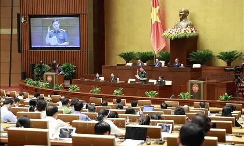 Chủ động nguồn lực ứng phó với thảm họa, sự cố từ sớm, từ xa