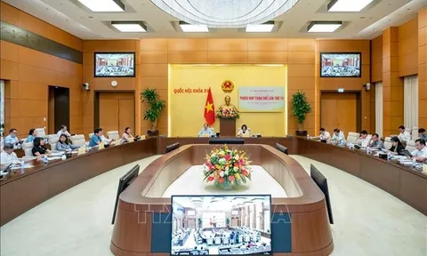Thẩm tra dự thảo Nghị quyết của Quốc hội về việc lấy phiếu tín nhiệm, bỏ phiếu tín nhiệm