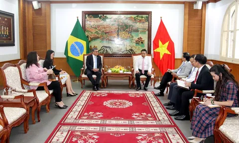 Tăng cường hợp tác văn hoá, thể thao giữa Việt Nam và Brazil