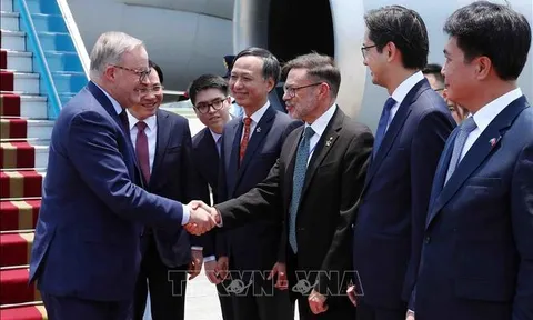 Thủ tướng Australia Anthony Albanese đến Hà Nội, bắt đầu thăm chính thức Việt Nam