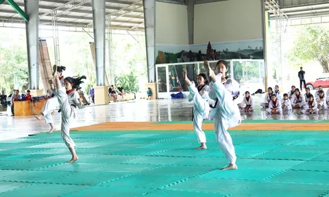 Lâm Đồng tổ chức Kỳ thi thăng đẳng Quốc gia cho gần 100 võ sinh
