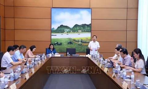 Kỳ họp thứ 5, Quốc hội khóa XV: Tích hợp thông tin trong căn cước cần quy định rõ quyền truy xuất, khai thác