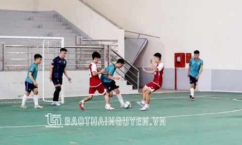 Giải Thể thao Sinh viên Thái Nguyên năm 2023