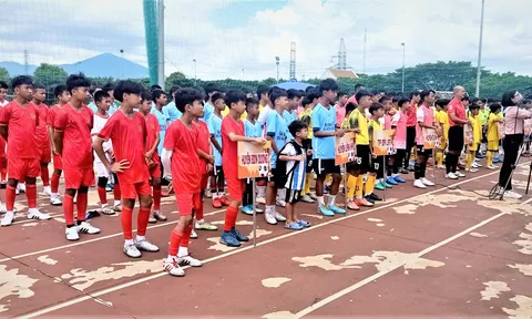 Giải Bóng đá U13 tỉnh Lâm Đồng