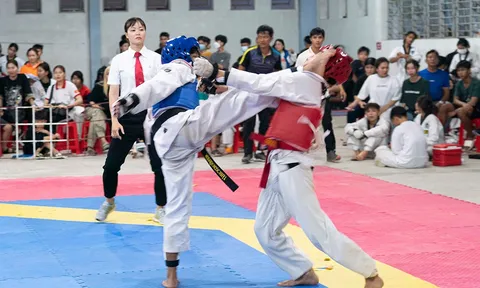 An Giang phát huy thế mạnh các môn võ thuật