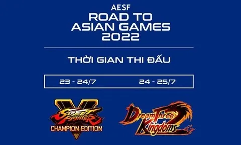Thể thao điện tử Việt Nam đăng ký thêm 2 bộ môn ở Road To Asian Games 2022
