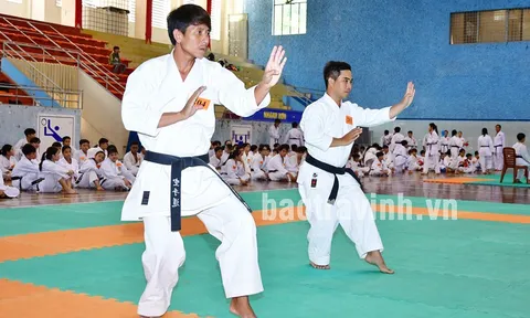 Trà Vinh tổ chức Kỳ thi thăng đẳng quốc gia môn Karate