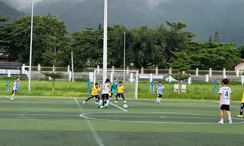 Giải Bóng đá Nhi đồng U11 tỉnh Lâm Đồng năm 2023
