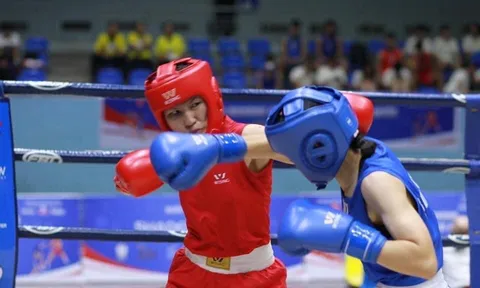 Hơn 500 võ sĩ tranh tài tại giải vô địch Boxing trẻ toàn quốc 2023