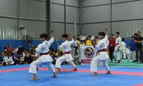 Giải Karate vô địch và trẻ tỉnh Đồng Tháp năm 2023