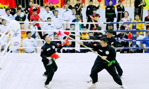 Bình Định sẵn sàng cho Liên hoan Quốc tế Võ cổ truyền Việt Nam lần thứ VIII năm 2023