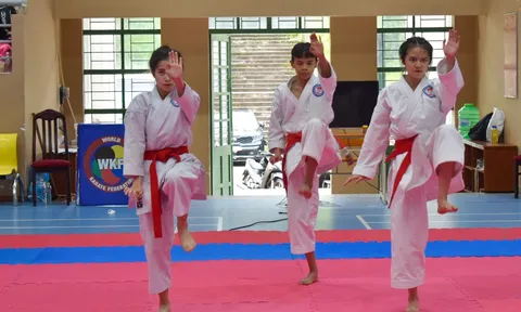 Giải vô địch Cúp Karate mở rộng lần thứ III năm 2023