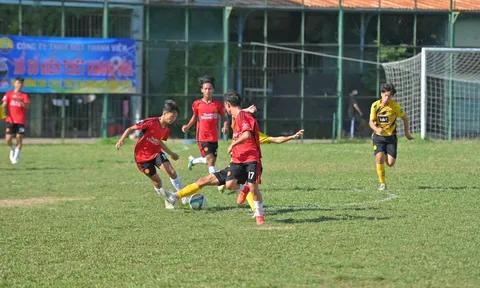 Giải Bóng đá mini Thiếu niên - Học sinh thành phố Nha Trang hè 2023  