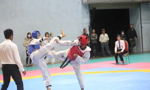 Giải vô địch Taekwondo tỉnh Gia Lai năm 2023