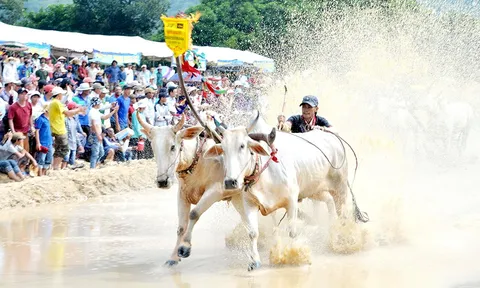 An Giang phát triển phong trào thể dục thể thao cho đồng bào dân tộc thiểu số