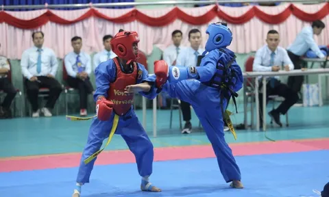 Gia Lai: Khởi sắc phong trào tập luyện môn Vovinam 