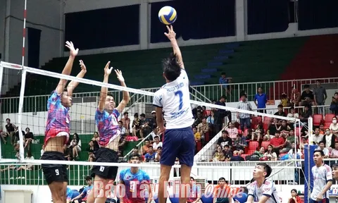 Bế mạc giải vô địch Bóng chuyền tỉnh Tây Ninh năm 2023