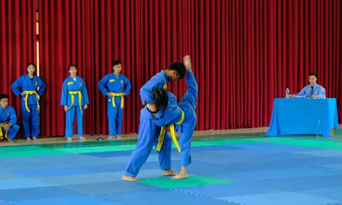 Liên hoan Vovinam - Việt võ đạo thành phố Đà Lạt lần thứ VIII năm 2023