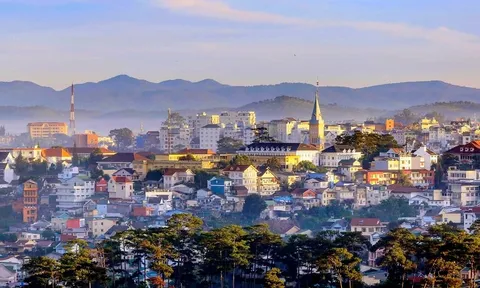 Đà Lạt nghiêm túc thực hiện đúng cam kết khi gia nhập mạng lưới các Thành phố Sáng tạo UNESCO