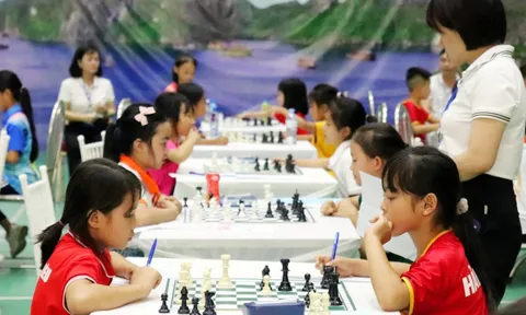 Giải cờ Vua Hội khoẻ Phù Đổng tỉnh Quảng Ninh năm 2023-2024