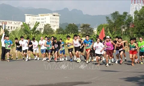 Giải Việt dã truyền thống Cúp Báo Hòa Bình năm 2023