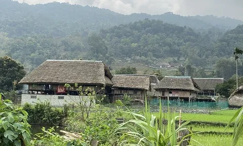 Phát triển du lịch Hà Giang theo hướng chuyên nghiệp, hiệu quả, xanh và bền vững