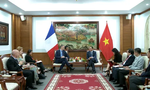 Việt Nam - Pháp tăng cường thúc đẩy hợp tác văn hóa, thể thao và du lịch