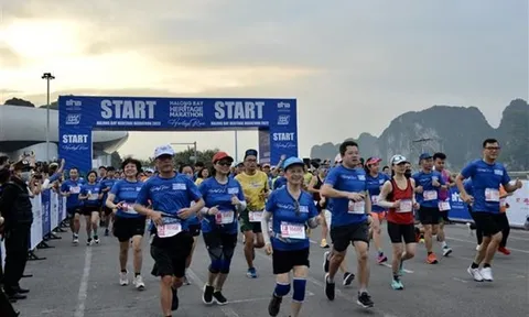Giải Marathon Quốc tế Di Sản Hạ Long: Thu hút gần 10.000 vận động viên tham dự