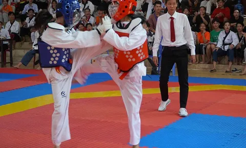 Giải Taekwondo các câu lạc bộ tỉnh Đồng Tháp lần thứ VIII năm 2023