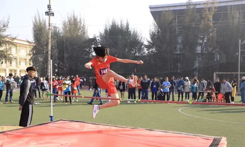 Sẽ có 6 môn thi đấu tại Hội khỏe Phù Đổng tỉnh Hải Dương năm 2024