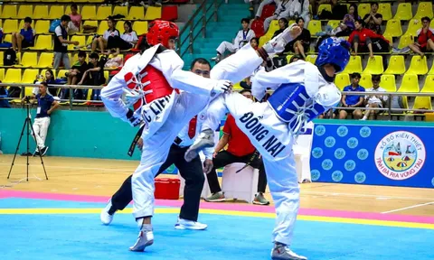 Gần 300 võ sỹ tham dự giải vô địch Taekwondo vận động viên xuất sắc Quốc gia 2023