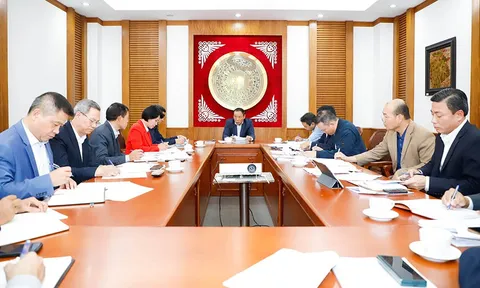 “Hội nghị định hướng phát triển Thể thao thành tích cao phải tập trung vào các giải pháp”