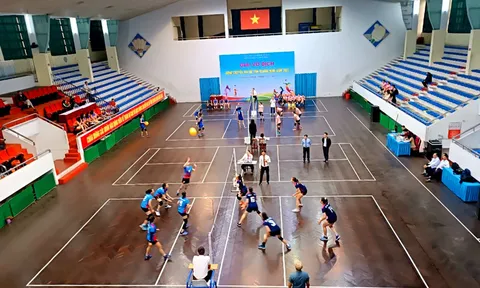 Giải Bóng chuyền hơi nữ tỉnh Quảng Ninh năm 2023 