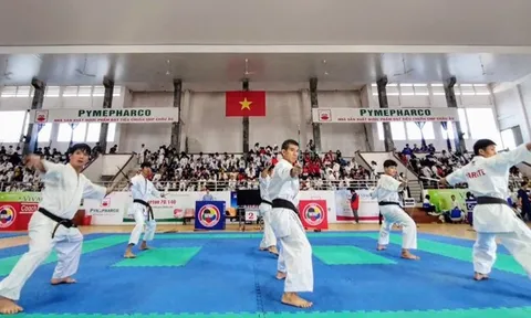 Giải Karate các câu lạc bộ tỉnh Phú Yên mở rộng lần thứ IV
