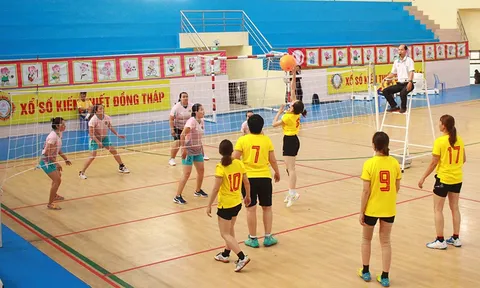 Thể thao Đồng Tháp tập trung phát triển toàn diện