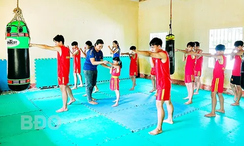 Thị xã Hoài Nhơn thúc đẩy phong trào võ thuật phát triển 