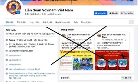 Trang fanpage giả mạo Liên đoàn Vovinam Việt Nam