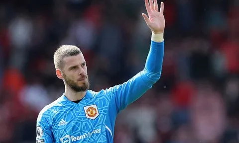 Newcastle được khuyên chiêu mộ thủ môn David De Gea