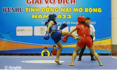 Giải vô địch Wushu Đồng Nai mở rộng năm 2023