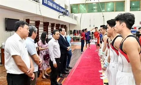 Thể thao Việt Nam: Chú trọng cả bề rộng lẫn chiều sâu