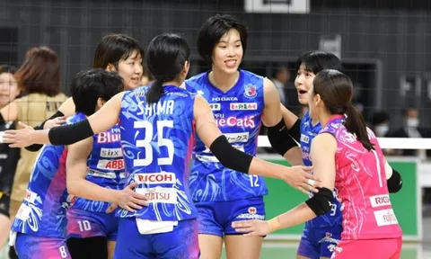 Đội PFU BlueCats của Thanh Thúy để thua Toray Arrows