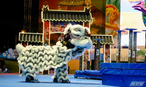 Giải Lân Sư Rồng Quận 5 mở rộng lần thứ 6 tranh Cúp Chợ Lớn - HTV 2024: Hải Nam Liên Hữu tạm dẫn đầu nội dung Lân Lên Mai Hoa Thung